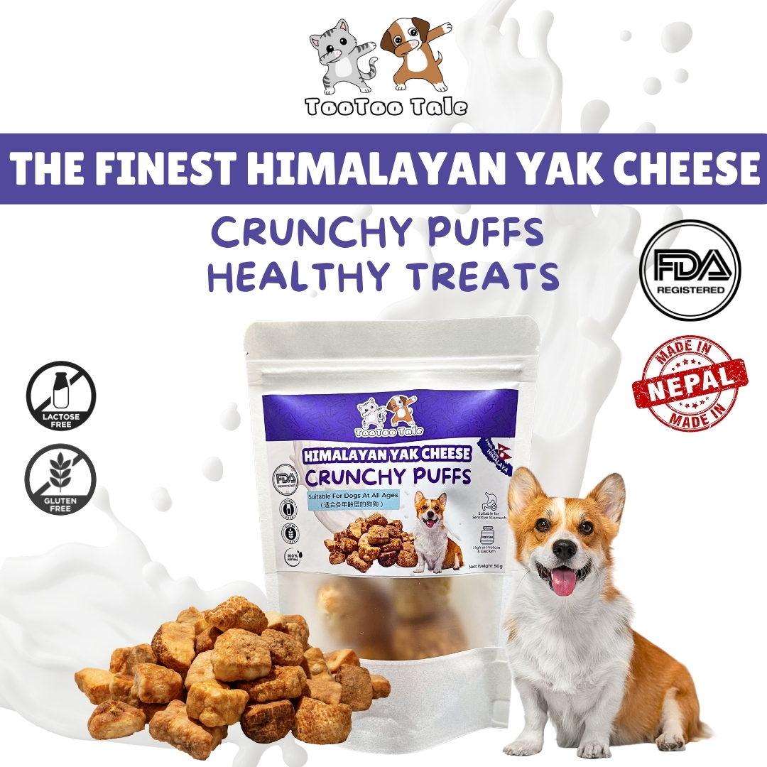 Himalayan Yak Cheese Crunchy Puffs TooToo Tale Himalayan Yak Cheese