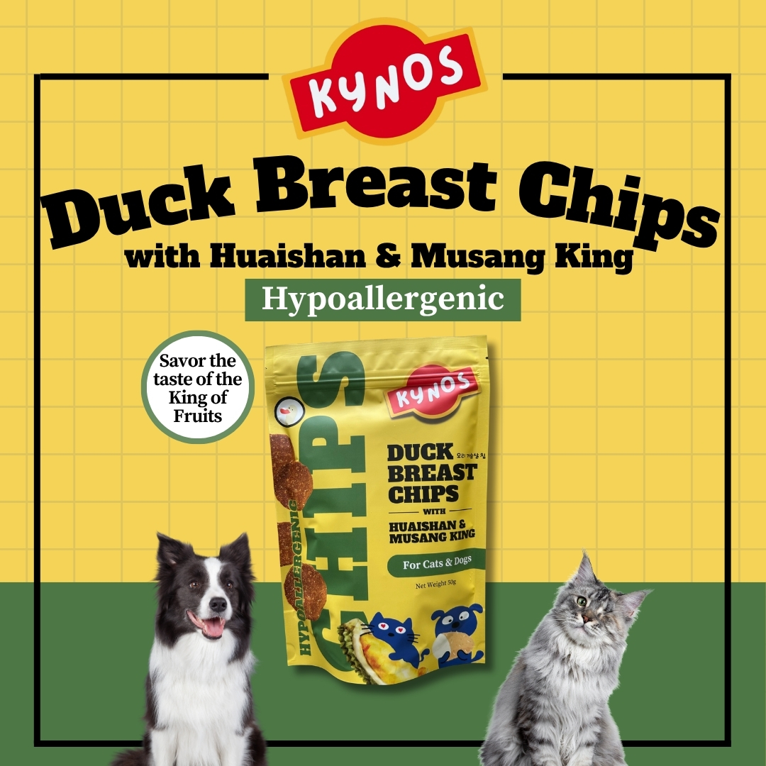 Kynos Duck Huaishan Musang King Chips